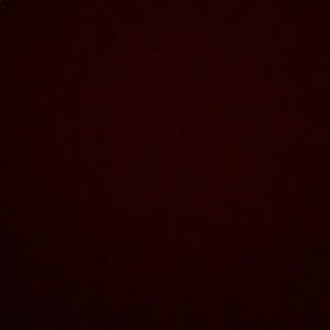 Everything in my closet (that is listed)